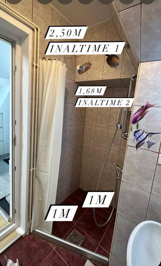 Brasov Place Villa Ngoại thất bức ảnh
